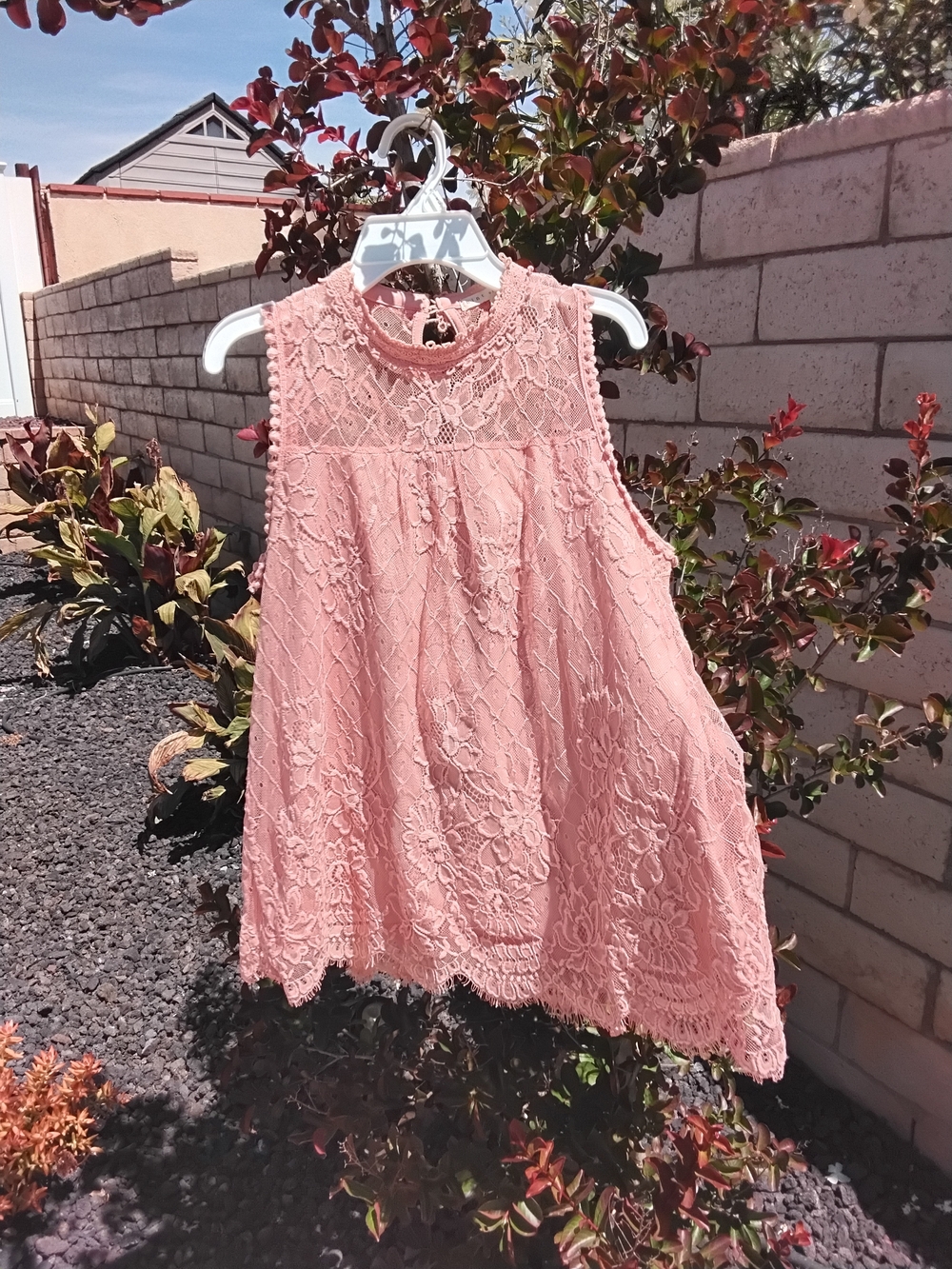 hint of mint Blush Pink Lace Sleeveless Tank